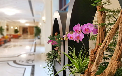 ����д��¥�칫��ֲ����ڷ���߶�