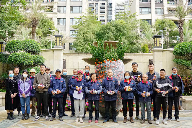 ���������껨��۰ڷ�