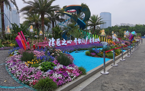 ��29��԰���ῪĻ���격����԰�ֲ�չ���»��3��