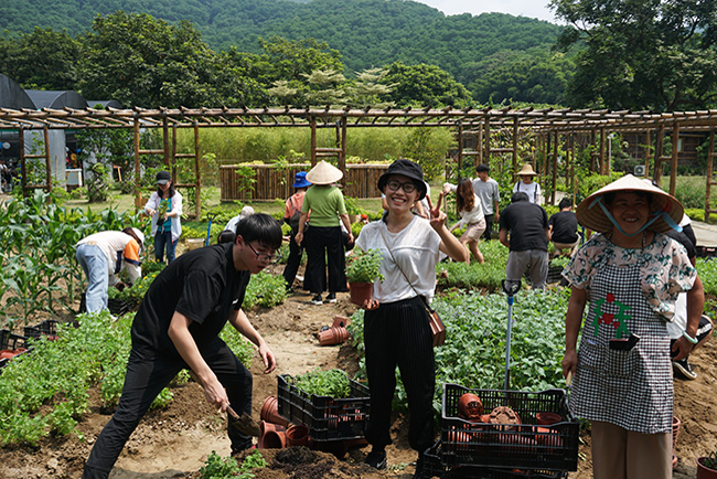 �격���������