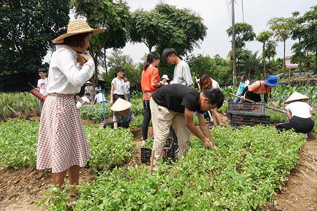 �격���������