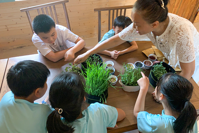 �격������������Ӫ