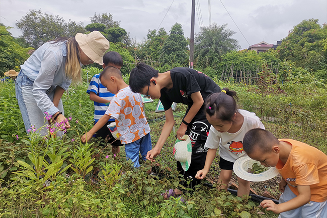 �격������������Ӫ