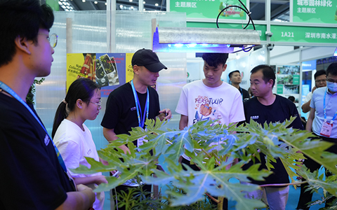 ����ʽ�����격����԰�֡���Ȼ����ع���ֳ���