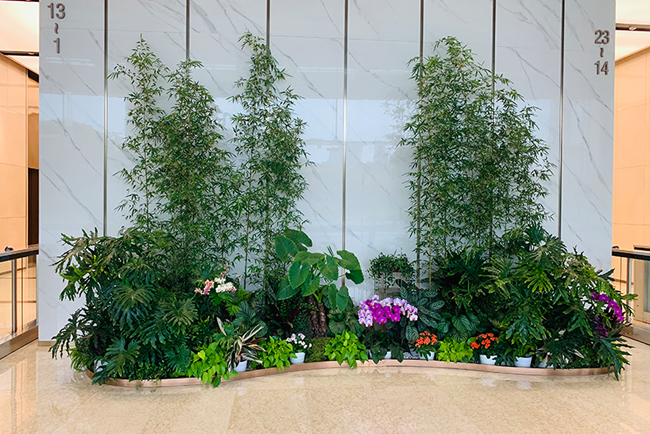 �격����԰�������̻������м�