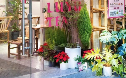 ����� | �����������ʽ�����������Ȼ��������