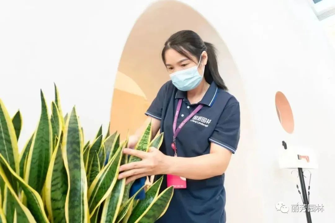 �격����-����Ʒ������