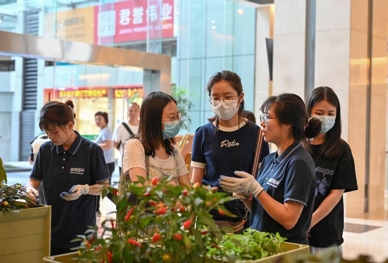 �격����-����Ʒ������