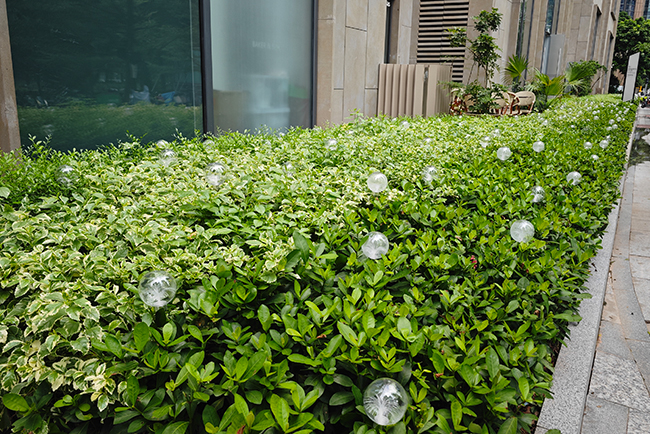 �̳��̻������ʩ��������������