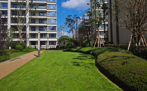 ϲѶ���격����԰���б��л���ï���·��������̻�������Ŀ