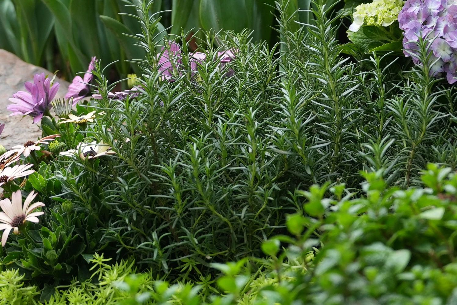 �격����-����Ʒ������