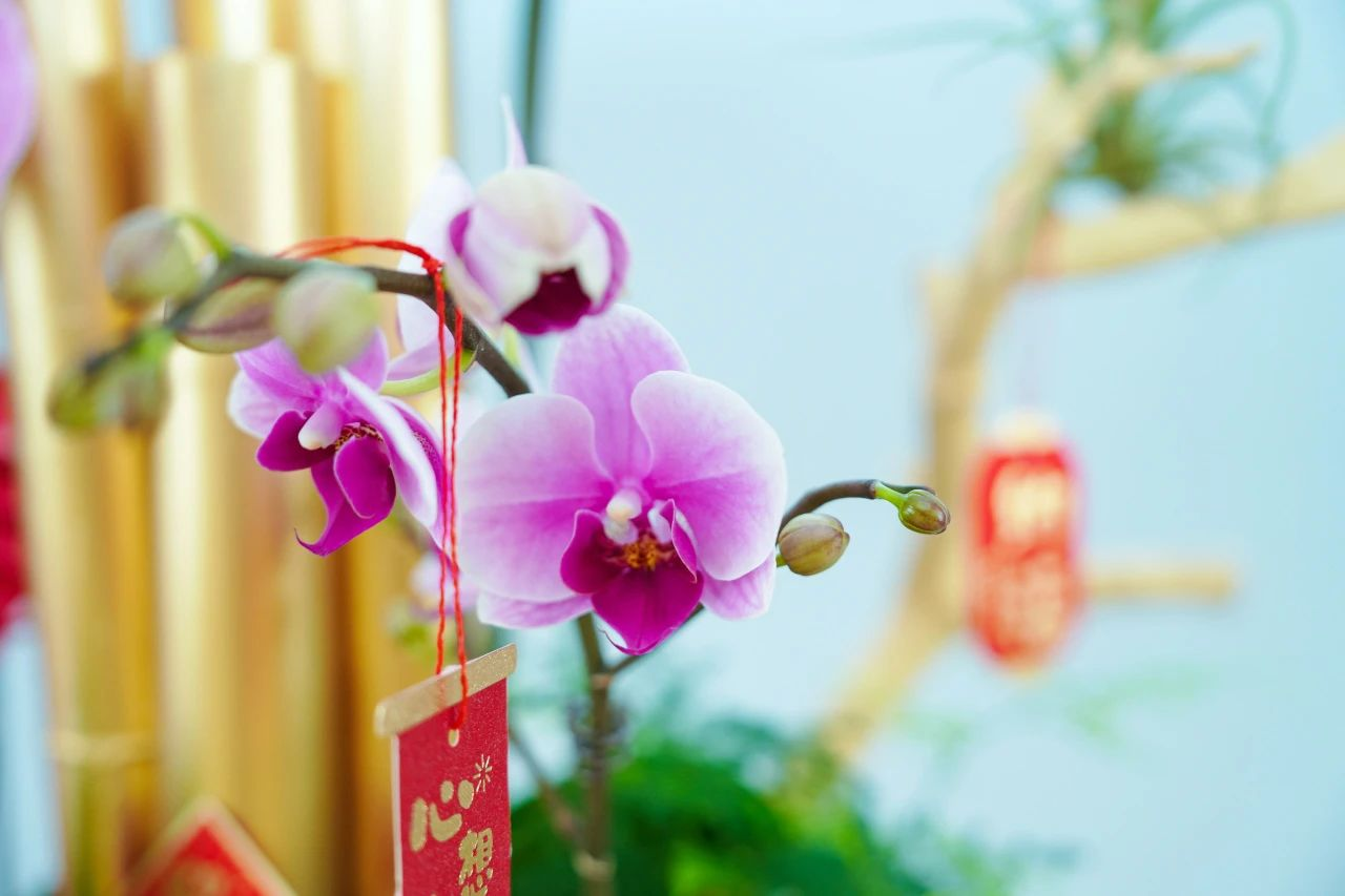 �격����-����Ʒ������