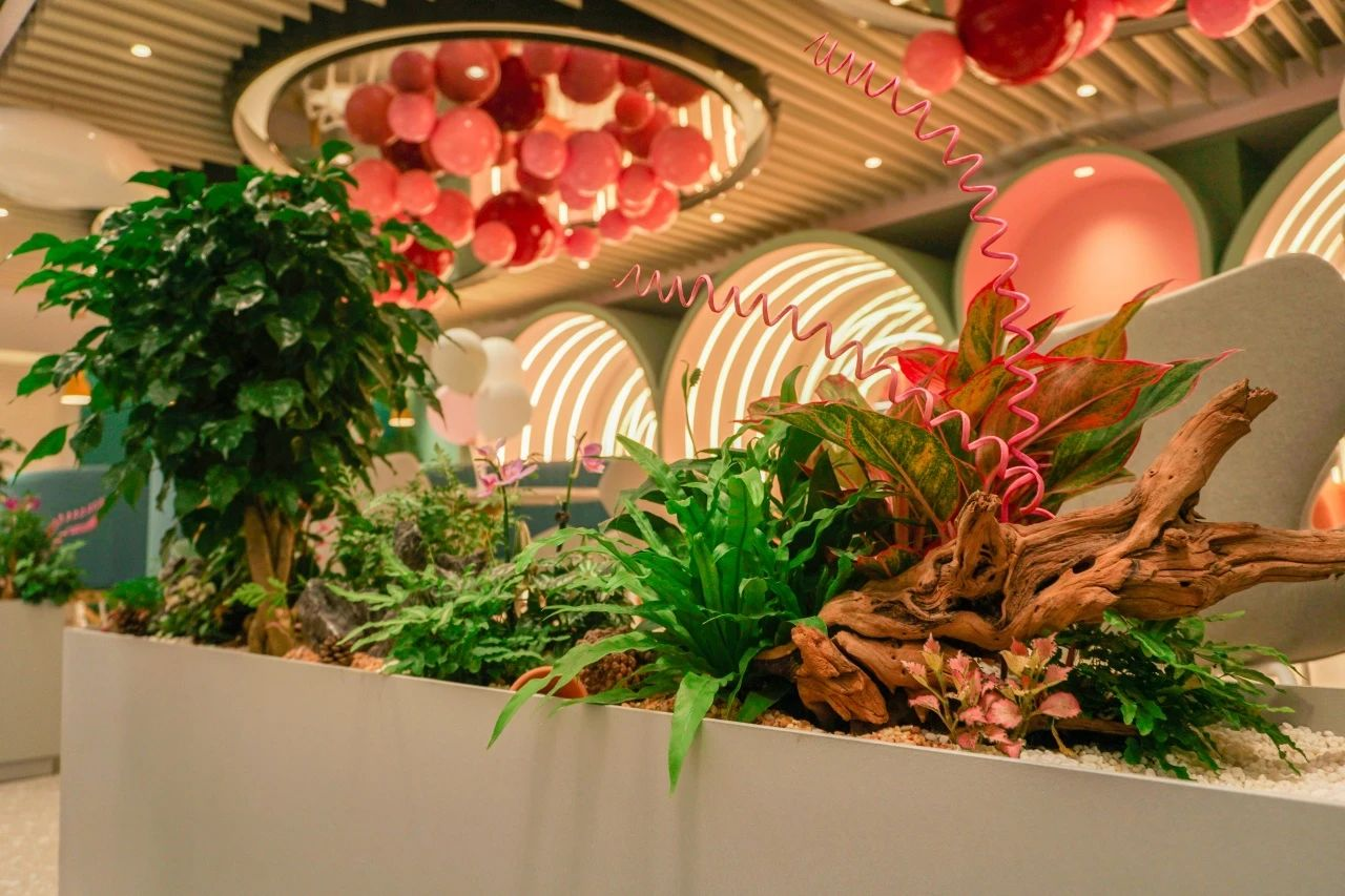 �격����-����Ʒ������