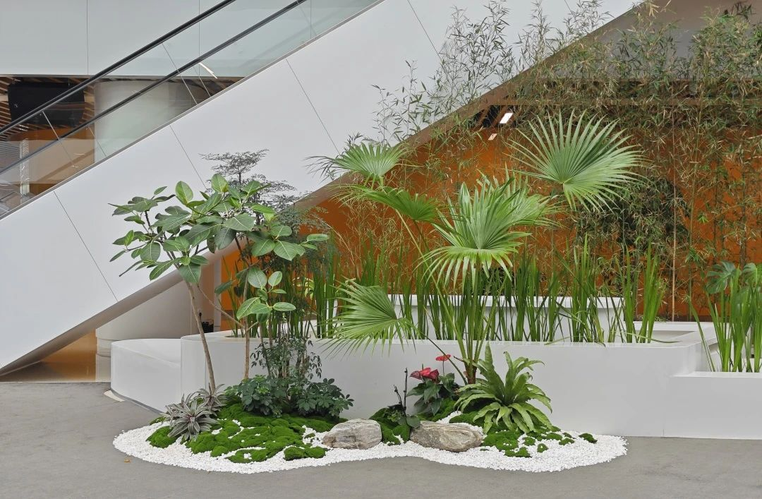 �격����-����Ʒ������