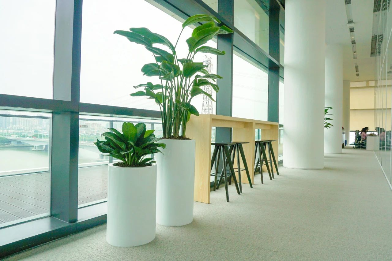 �격����-����Ʒ������