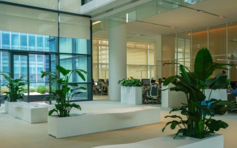 ��̬�칫�����ɺ��� | ��ɫ�칫�·���