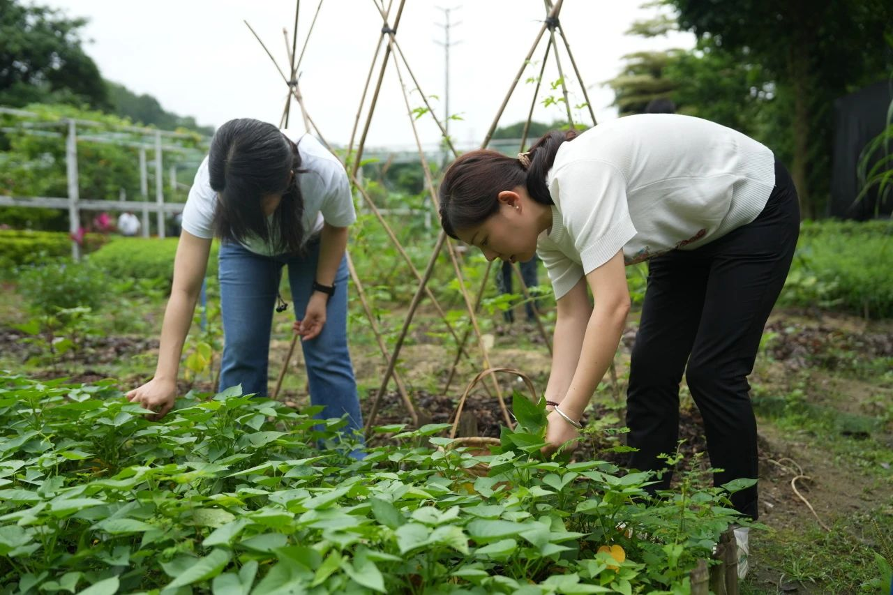 �격����-����Ʒ������