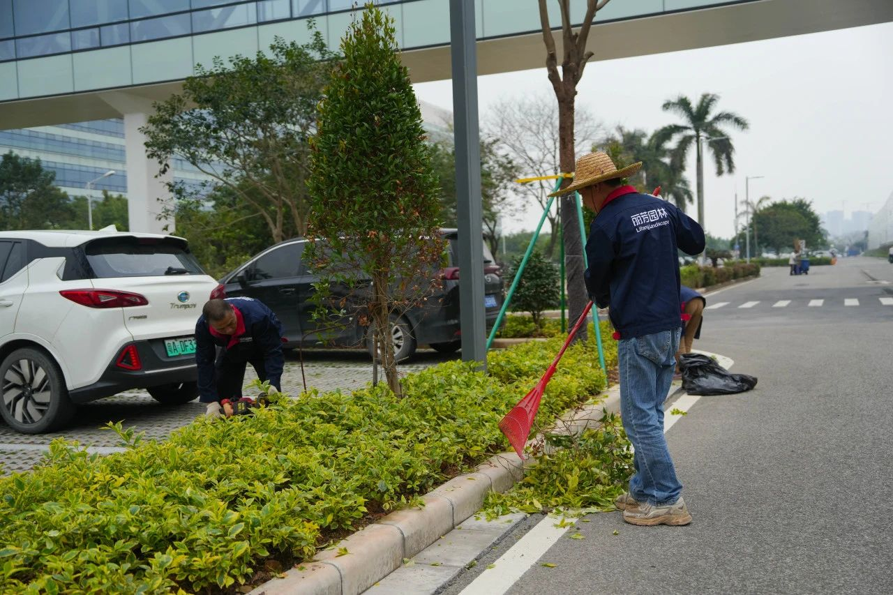 �격����-����Ʒ������