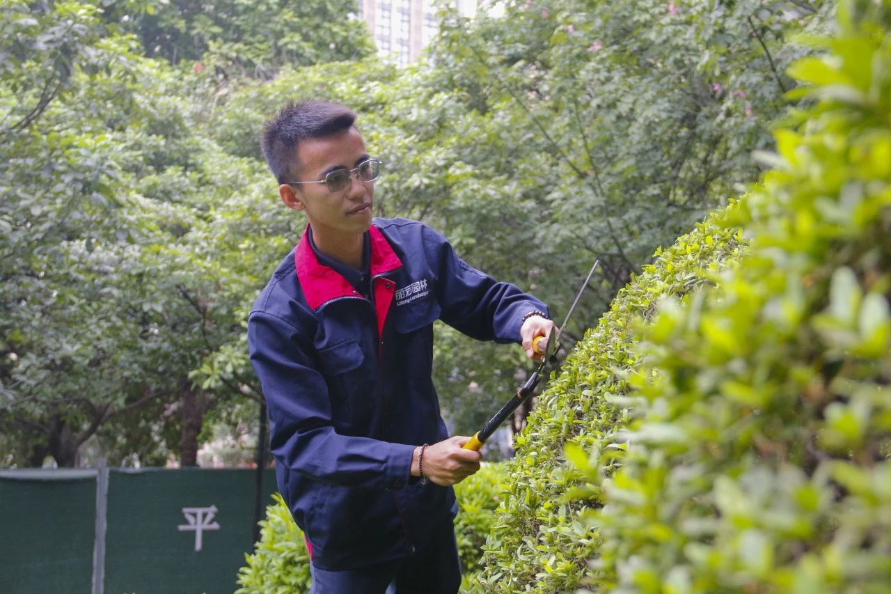 �격����-����Ʒ������