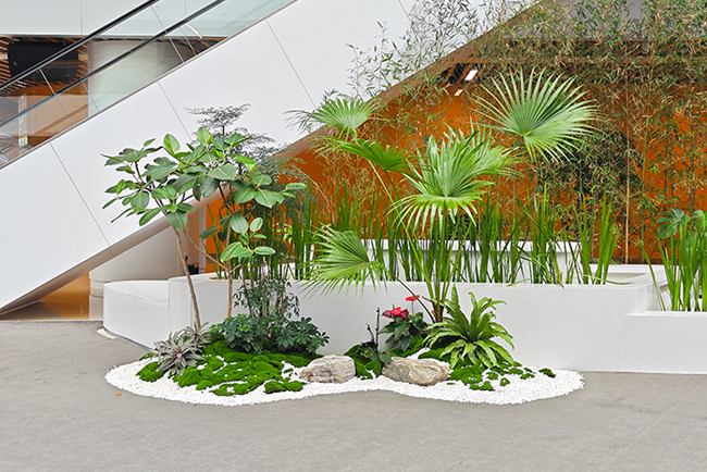 ��������Ժ��ֲ���