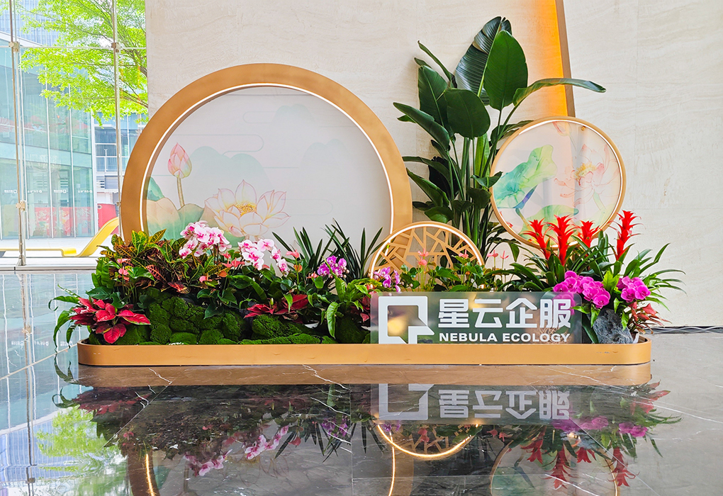 ��������������̻������龰