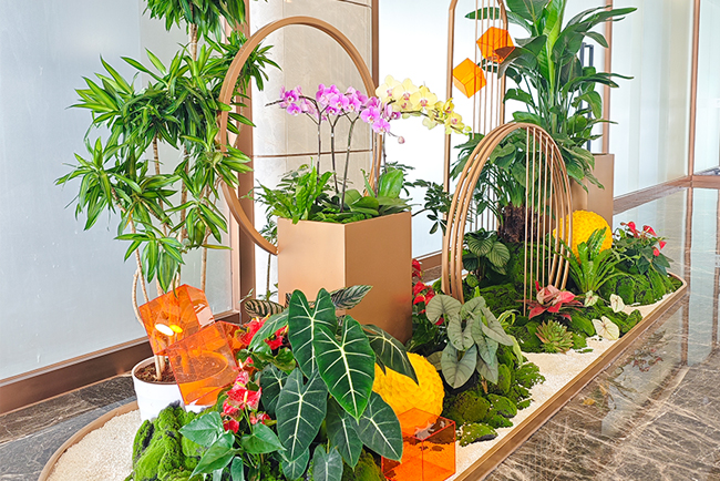 �격����԰����ֲ��ڡ������ƽ�ش���