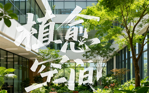 ϲѶ����ֲ��APP���ٻ��пƹݡ�����֮������Ϊ���ܴ�����������������½�