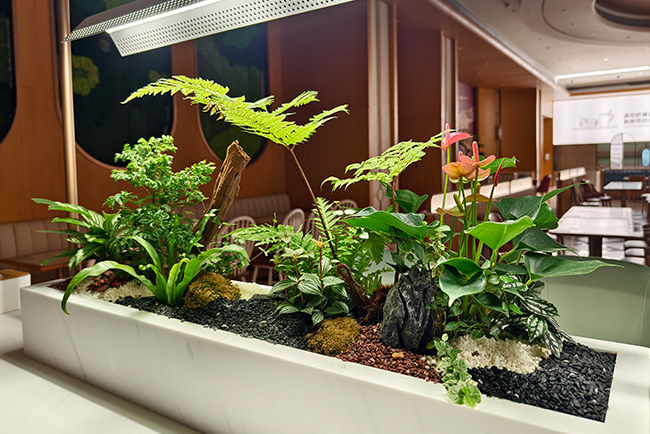 ��ݸ��Ϊ�з�������ֲ��ڰ���