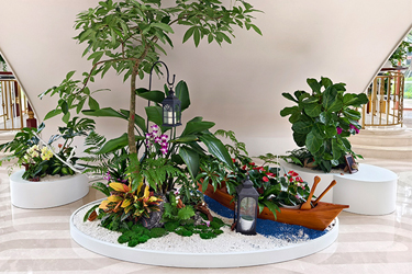 ��ݸ��Ϊ�з�������ֲ��ڰ���