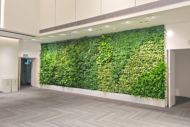 ������Ʒ������ֲ���