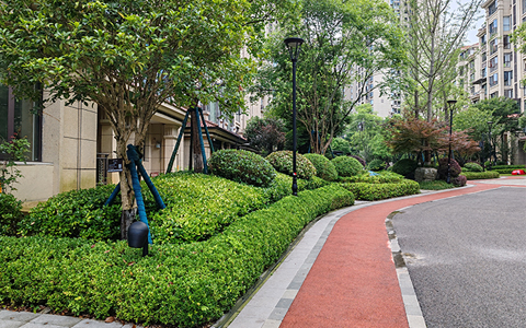 �격����԰���ƹ��̻�������������д������̬���£�