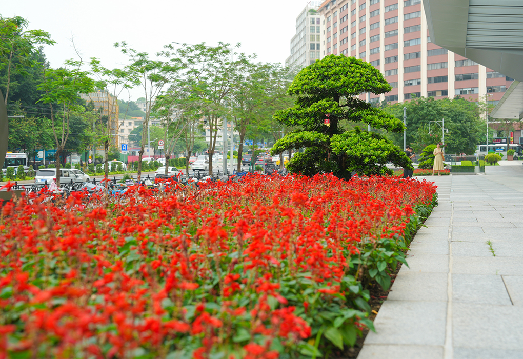 ����Խ����ʻ��������̻�����