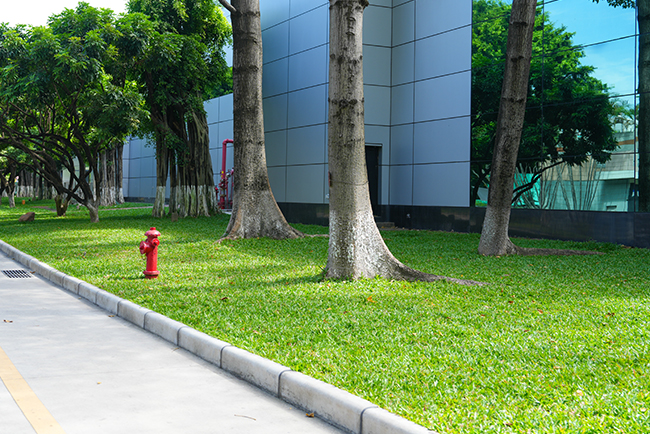 �����й�