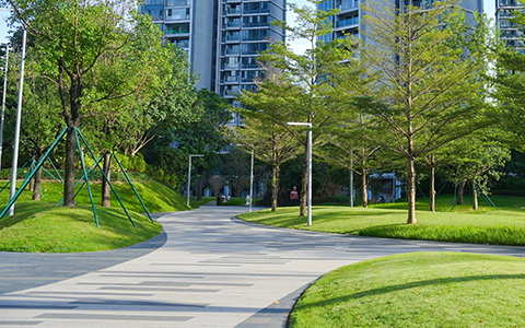 ϲѶ���격����԰��ͨ��2025��ȹ��ȸ��¼�����ҵ�϶�