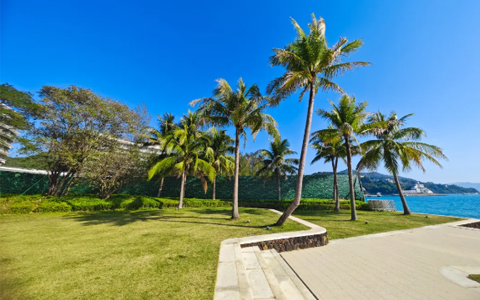 �격����԰�ְ��� | �������Ž�ɳ������רҵ��������ɽ������