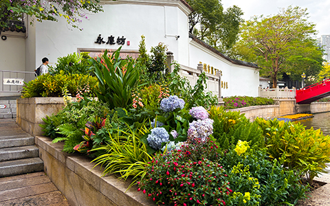 �격����԰�־�����ư����������������ء�����������